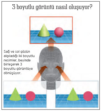 Plazma nedir, plazmanın faydaları Plazma nedir, plazmanın faydaları